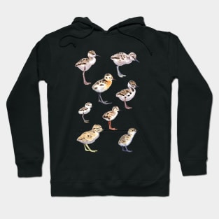 Shorebird chicks Hoodie